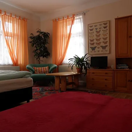 Apartman V Popelkach Appartamento *