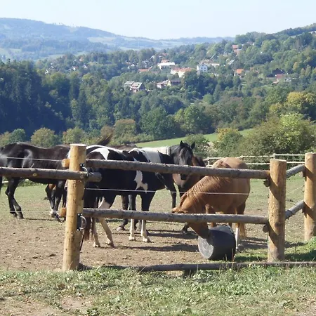 Appartamento Apartman V Popelkach Lomnice nad Popelkou